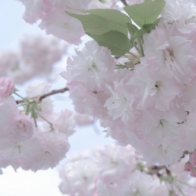 Furry插画元素技巧兽圈群